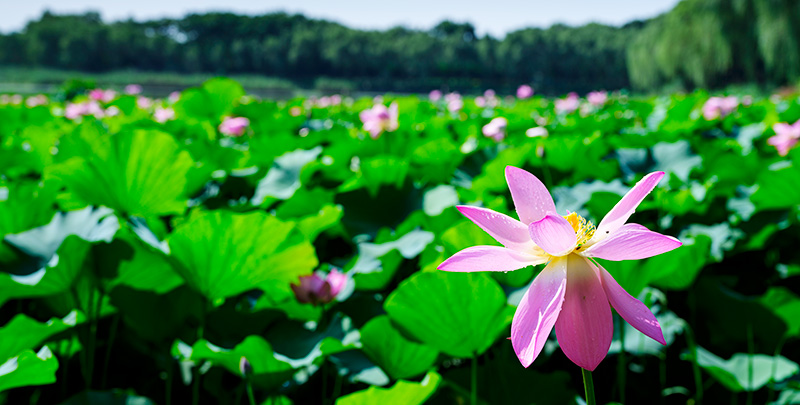 欧博abg(中国区)官方网站